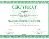 PSTIS: Jak znaleźć terapeutę SI i rozwijać karierę?